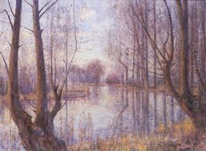 Bord De Vesle En Hiver