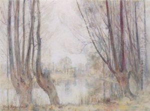 Arbres Au Bord De L'etang