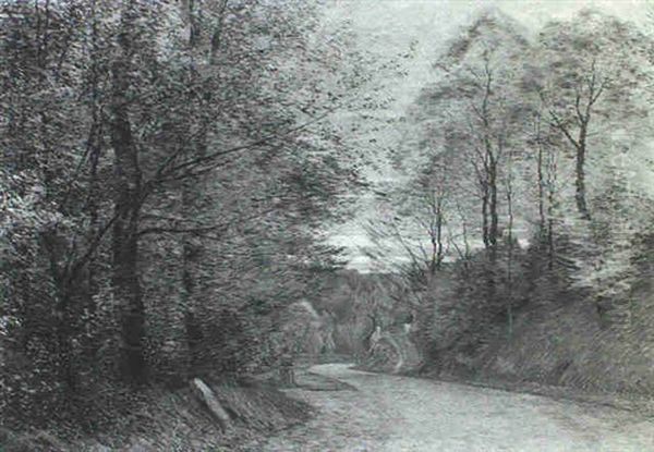 Une Route En Automne - view 1