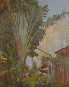 Paysage De La Martinique