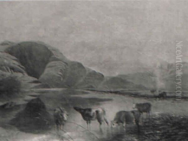 Cows Watering - view 1