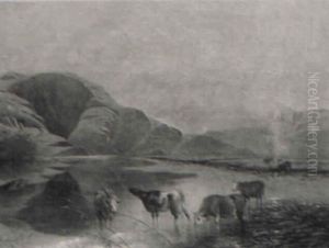 Cows Watering Cows Watering