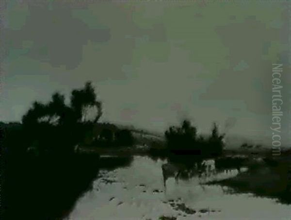Cattle Watering In A Pond Withwaterlilies - view 1