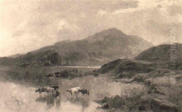 Cattle Watering In A Mountainous Landscape - view 1