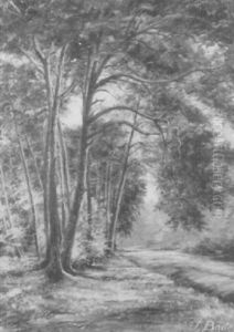 Kieferngruppe Am Schwanheimer Wald by Johannes Bode
