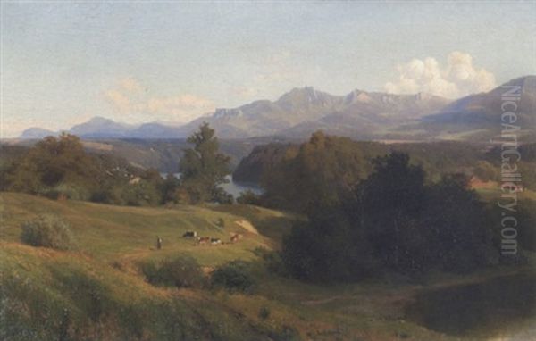 Flusstal Im Voralpenland - view 1