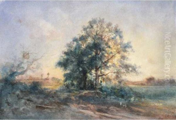Coucher De Soleil Dans La Plaine - view 1