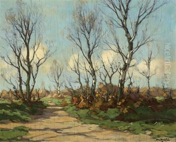 Berkenweg In Najaar, Depicting A Path In Autumn - view 1