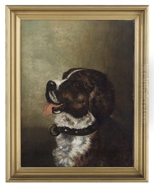 Portrait Of A Saint Bernard - view 1