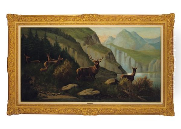 Deer Beside The Lake In Mountain - view 1