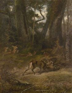 In Einer Waldlichtung Kampfende Hirsche