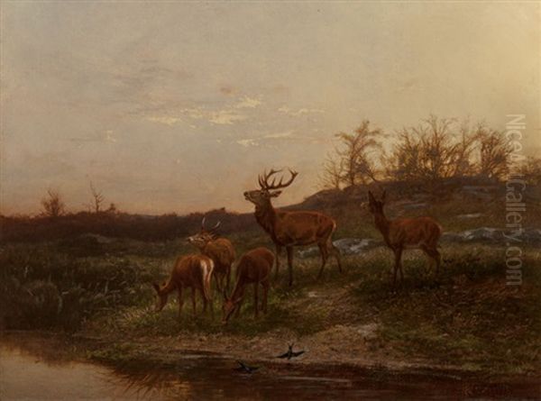 At The Watering Hole - view 1