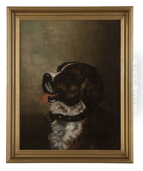 Portrait Of A Saint Bernard - view 1