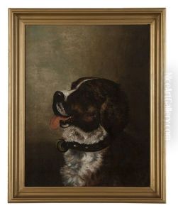 Portrait Of A Saint Bernard