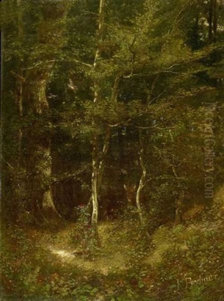 Chevreuil Dans Le Sous Bois Fleuri - view 1