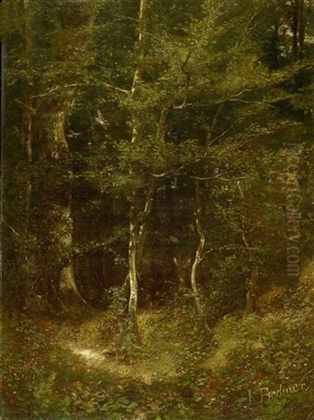 Waldlandschaft Mit Reh Hinter Einem Baum - view 1