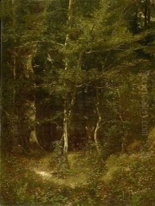 Waldlandschaft Mit Reh Hinter Einem Baum