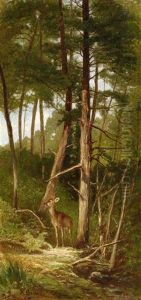Waldlandschaft Mit Einem Reh