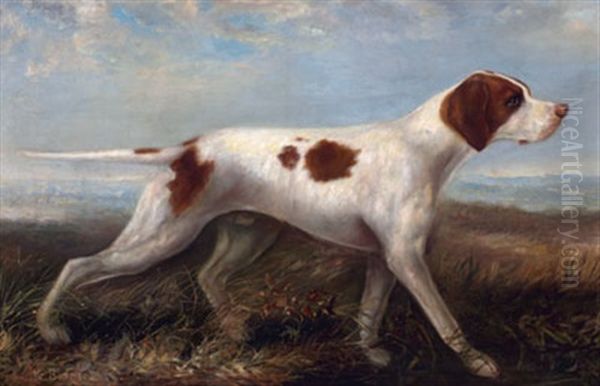 Pointer In Landscape - view 1