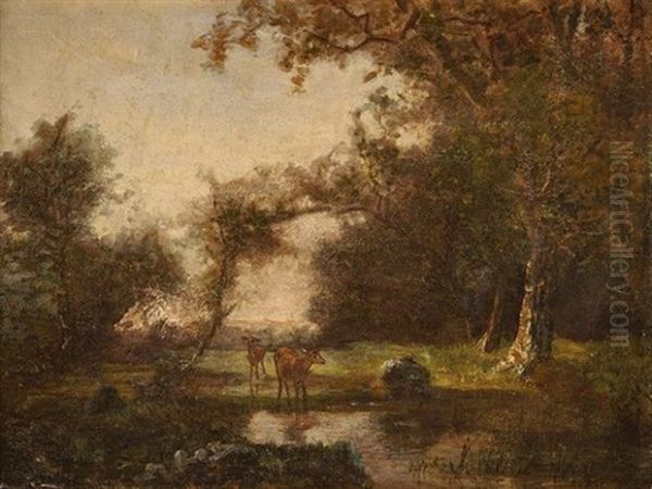 Chevreuils En Foret - view 1