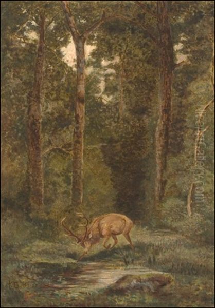 Stag In The Forest - view 1