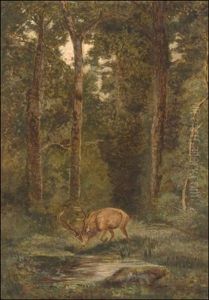 Stag In The Forest by Karl Bodmer
