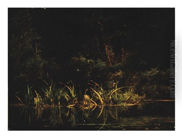 Marsh Landscape - view 1