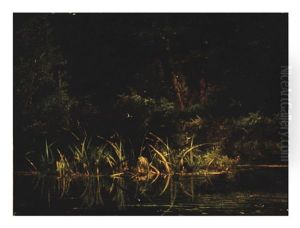 Marsh Landscape