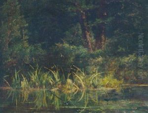 Barn Swallows Amongst The Reeds by Karl Bodmer