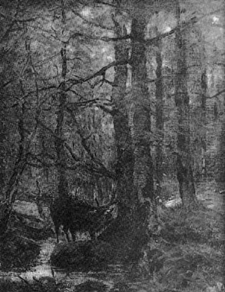 Cerf En Foret De Chantilly - view 1
