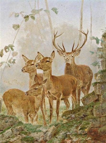 Cerf Et Biches Pres Du Mur En Ruine - view 1
