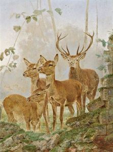 Cerf Et Biches Pres Du Mur En Ruine