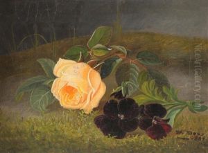 Rose Og Fioler Rose Og Fioler