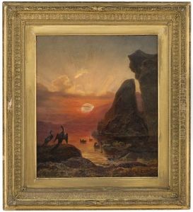 Seabirds In The Midnight Sun