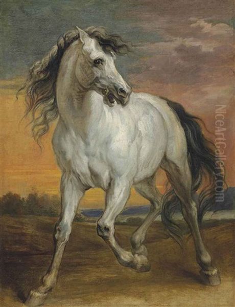 A Grey Stallion In A Landscape - view 1