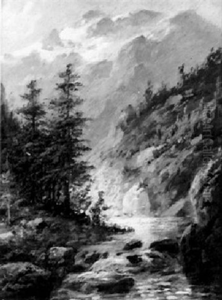 Gebirgsbach - view 1
