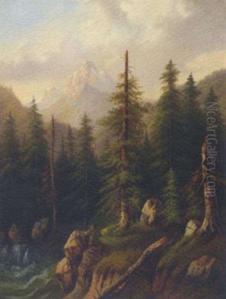 Aus Tyrol: Sportsman In A Pine Forest - view 1