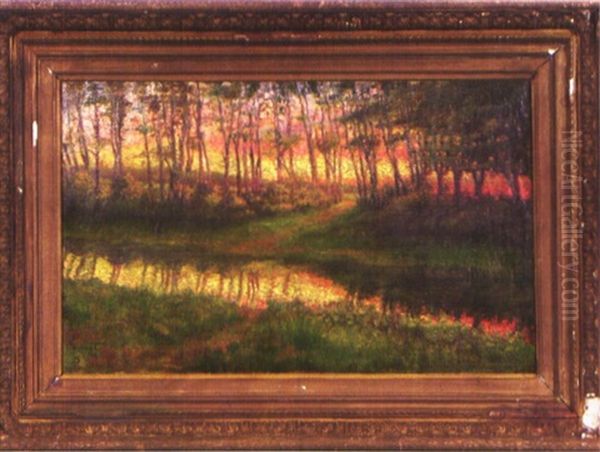Impressionistische Waldpartie Mit Bachlauf Bei Abendrote - view 1