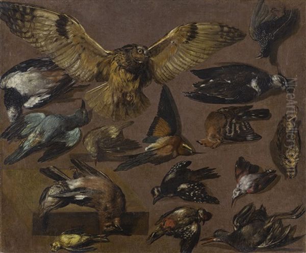 Studies Of An Owl And Other Birds - view 1