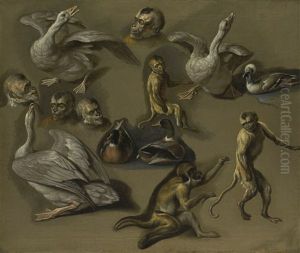 Studies Of Monkeys And Foul by Pieter Boel