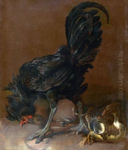 Coq Noir Et Deux Canards