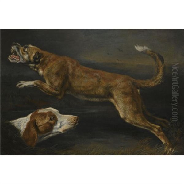 Two Dogs, A Pointer And A Hound (study) - view 1