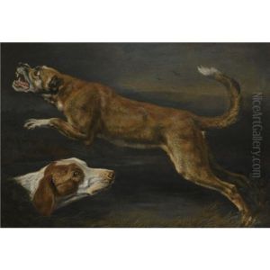 Two Dogs, A Pointer And A Hound (study) by Pieter Boel