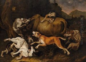 Chiens Attaquant Un Taureau