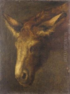 A Study Of The Head Of A Donkey by Pieter Boel