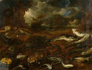 Studie Von Fischen Und Schildkroten An Einem Strand
