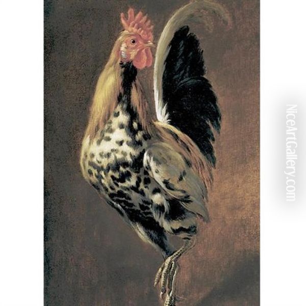 A Rooster - view 1
