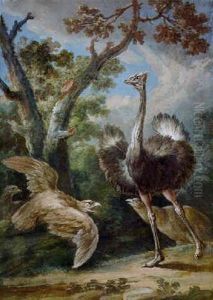 An Ostrich And Three Eagles In A Landscape