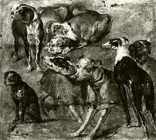 Studies Of Dogs - view 1