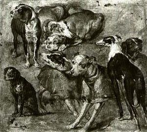Studies Of Dogs by Pieter Boel